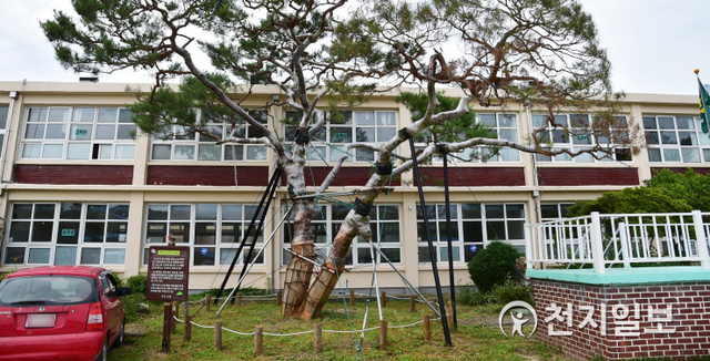 고(故) 이건희 회장의 선친이자 삼성그룹 창업주인 고 이병철 회장이 유년 시절 다녔던 지수초등학교. (제공: 진주시) ⓒ천지일보 2021.5.6