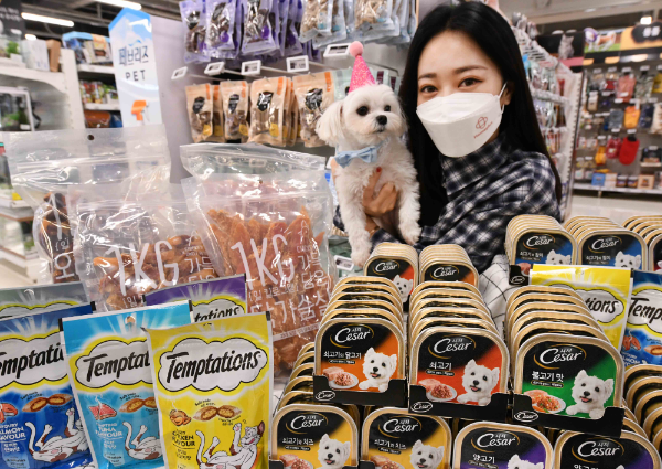 모델이 24일 홈플러스 강서점에서 반려동물 관련 상품을 선보이고 있다. (제공: 홈플러스)