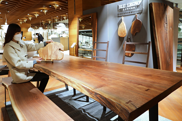 고객이 25일 서울 중구 소공동에 위치한 본점 8층 가구매장에 오픈한 ‘블루레뇨’ 매장에서 다양한 원목 가구 상품을 구경하고 있다. (제공: 롯데쇼핑)