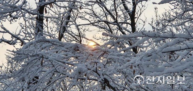 [천지일보 인천=김미정 기자] 전날인 1월 31일 밤 10시를 기해 인천을 비롯한 수도권 전역에 대설주의보가 발효됐다. 이날 인천시 전역에 약 5.3cm의 눈이 내렸고, 서구 8.7cm, 강화도는 최고 9.1cm의 적설량을 기록했다. 사진은 인천 영종 송산공원 모습. ⓒ천지일보 2022.2.1
