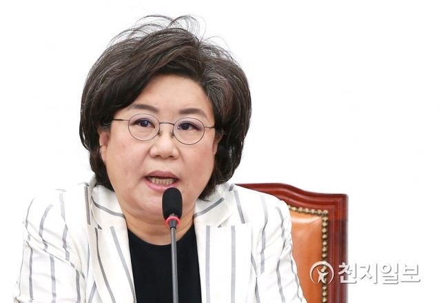 이혜훈 전 의원. ⓒ천지일보DB