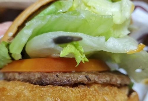 유명 체인 햄버거 속 민달팽이. (출처: 연합뉴스)