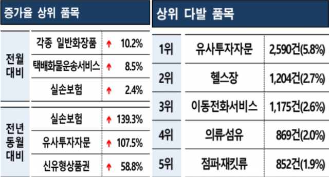 증가율 상위 품목(왼쪽)과 상위 다발 품목. (제공: 한국소비자원)