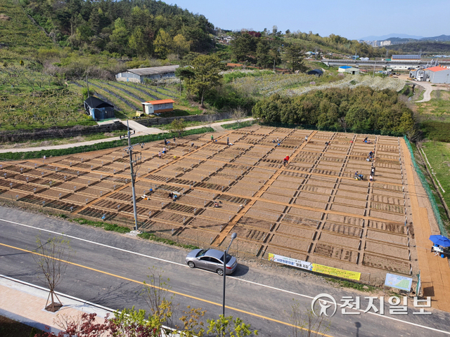 진주시 공영텃밭 ‘시민텃밭’ 모습. (제공: 진주시) ⓒ천지일보 2022.3.4