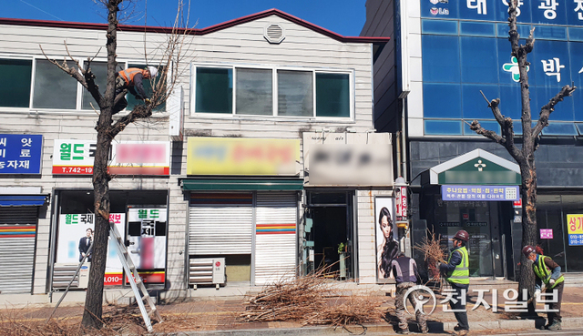 진주시 공원관리단이 가로수 가지치기 작업을 진행하고 있다. ⓒ천지일보 2022.3.6