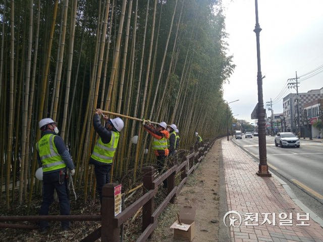 진주시 공원관리단이 공원·녹지에 대한 정비를 벌이고 있다. (제공: 진주시) ⓒ천지일보 2022.2.22