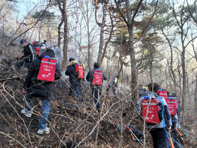 22.안산시, 수리산 화재 총력대응…1천500명 투입해 진화 작업 펼쳐 (1) ⓒ천지일보 2022.3.6