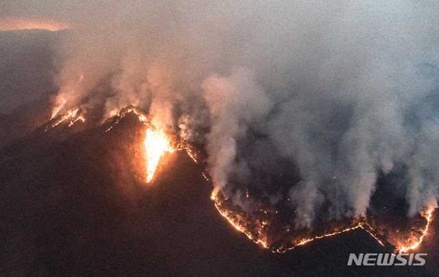 울진 산불이 발생한지 사흘째인 6일 오후 경북 울진군 북면 두천리 금강송 숲길 인근으로 산불이 번져가고 있다. (출처: 뉴시스)