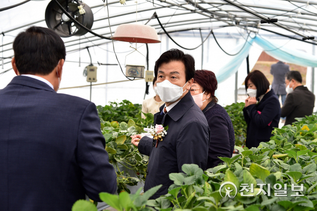 조규일 진주시장이 17일 청동기문화박물관 교육체험관 준공식을 마치고 지역농산물인 대평 딸기 수확·가공체험을 하고 있다. (제공: 진주시) ⓒ천지일보 2022.3.17