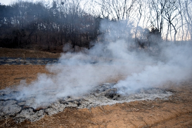 논·밭두렁 소각ⓒ천지일보 2020.4.24