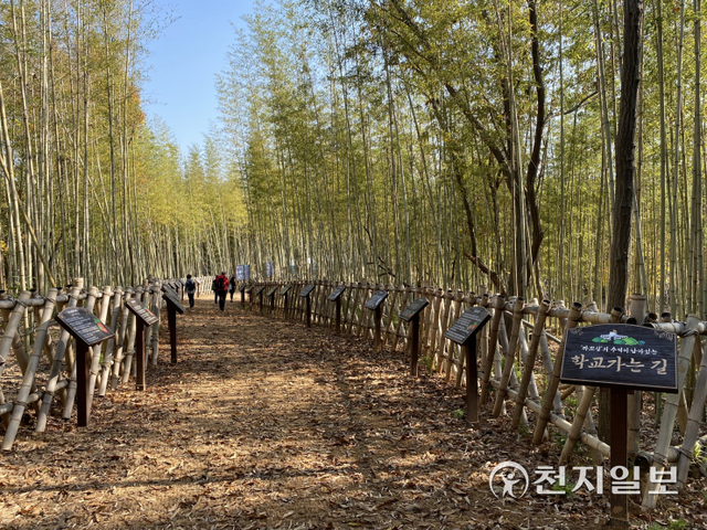 진양호 귀곡동 자연생태 문화탐방로로 조성된 귀곡초등학교 가는 길. (제공: 진주시) ⓒ천지일보 2021.11.16