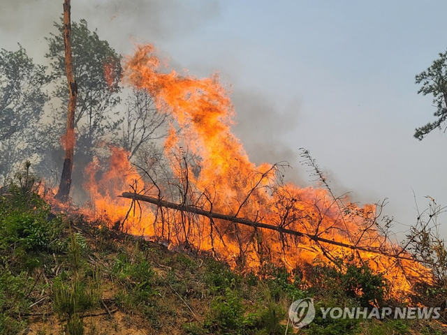 22일 오후 강원 양양군 현북면 일대에서 산불이 발생한 가운데 명지리 야산에 불길이 치솟고 있다. 2022.4.22. (출처: 연합뉴스)