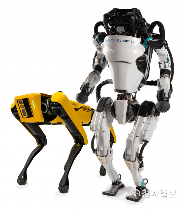 보스턴 다이내믹스가 개발한 4족 보행 로봇 스팟(왼쪽)과 2족 보행 로봇 아틀라스. (제공: 현대자동차그룹) ⓒ천지일보 2020.12.11