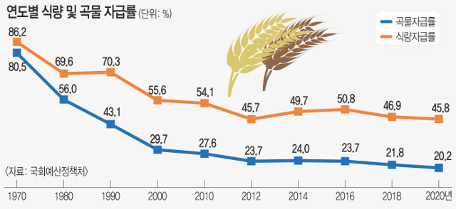 연도별 식량 및 곡물 자급률 ⓒ천지일보 2022.4.29