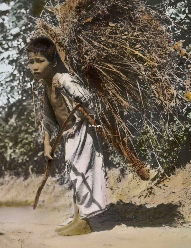 1910~1920년대 외국인 선교사가 찍은 사진으로 역시 채색컬러 사진이다. 어린 남성이 맨발로 나뭇가지들이 잔뜩 실린 지게를 지고 있다. (제공: 정성길 기록사진연구가) ⓒ천지일보 2022.5.9