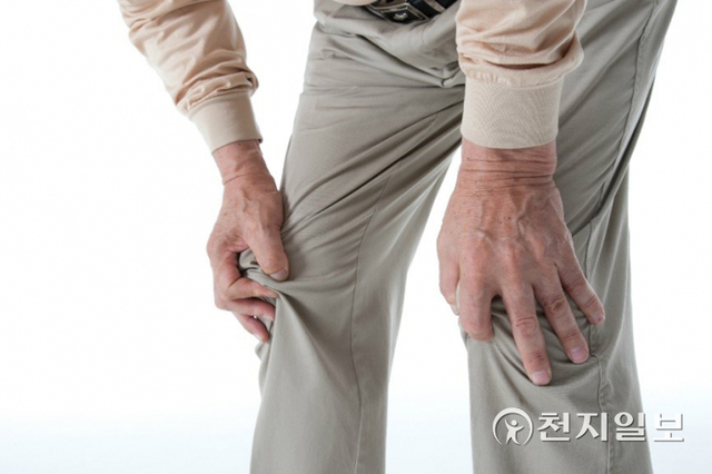 퇴행성 관절염 환자가 무릎 통증을 호소하고 있다. (제공:자생한방병원) ⓒ천지일보 2022.5.25