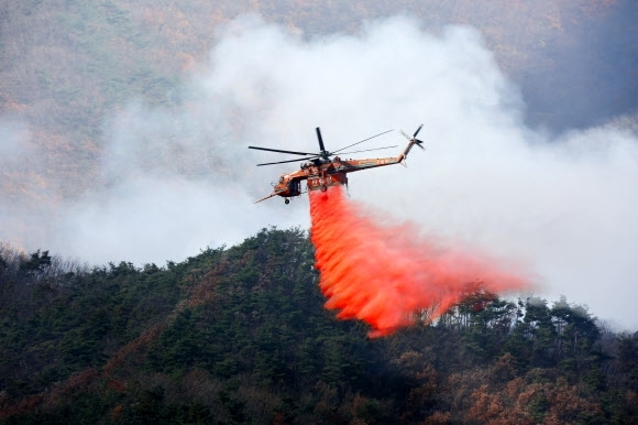 1일 오전 경남 밀양시 부북면 산불 현장에 투입된 산불진화헬기가 산불지연제(리타던트)를 뿌리고 있다. ⓒ천지일보 2022.6.1