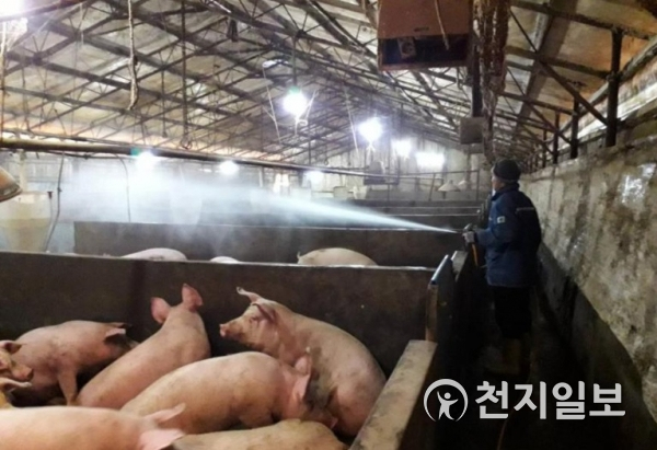 충남도 홍성군 돼지농장에서 소독하는 모습. (제공: 충남도) ⓒ천지일보 2020.8.31