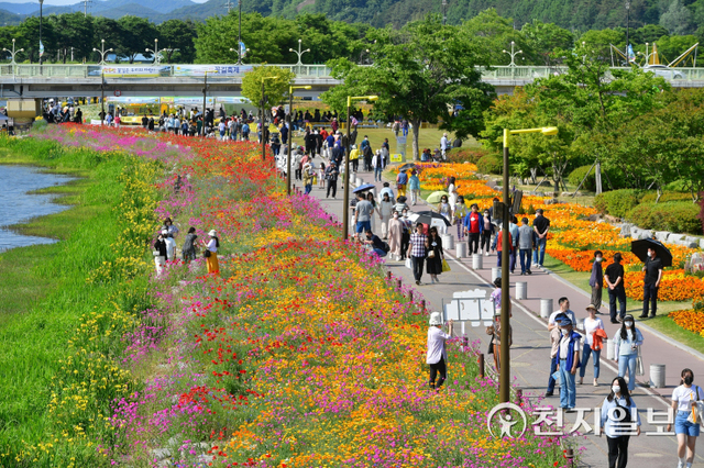 3년 만에 열린 ‘장성 황룡강 (洪)길동무 꽃길축제’ 를 찾은 관광객들 모습. (제공: 장성군청) ⓒ천지일보 2022.6.9