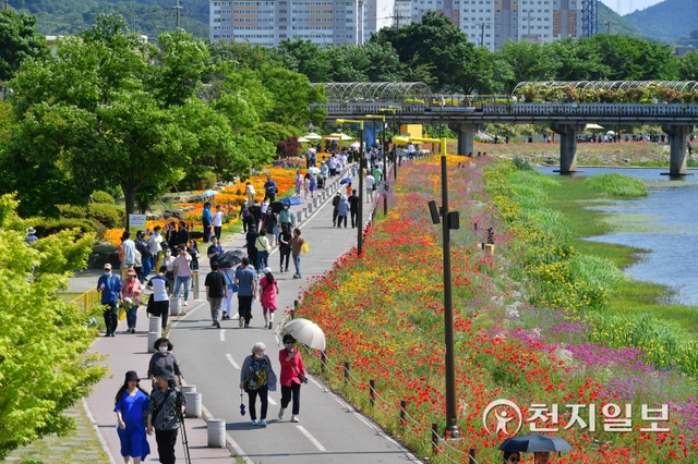 년 만에 열린 ‘장성 황룡강 (洪)길동무 꽃길축제’를 찾은 나들이객이 꽃길을 걷고 있다. (제공: 장성군청) ⓒ천지일보 2022.6.9