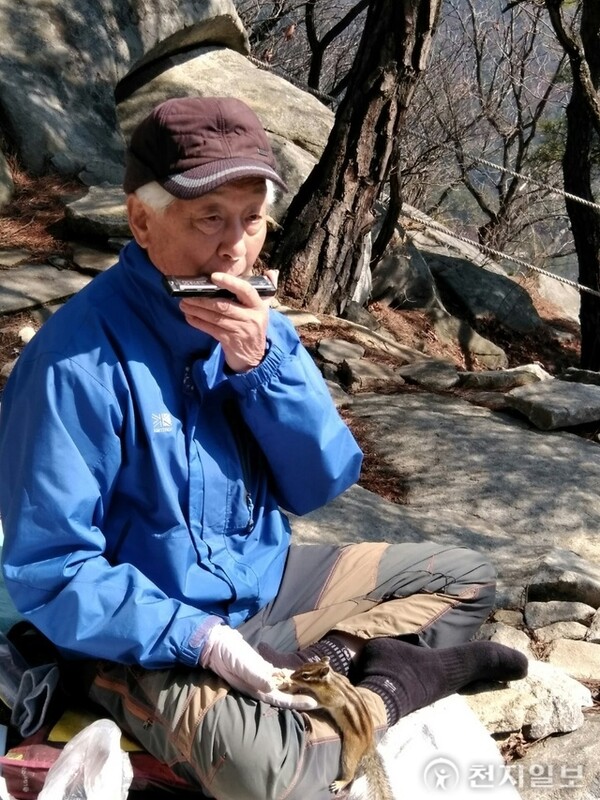 ‘도락산 지킴이’ 노명환씨가 지난달 천지일보와 인터뷰를 했다. 올해 88세인 노씨는 지난 15년간 매일같이 경기도 양주시에 있는 도락산을 올랐다고 한다. 사진은 노씨가 도락산에서 한 손으론 하모니카를 불고, 다른 한 손으로는 다람쥐에게 먹이를 주는 모습. (제공: 노명환씨)