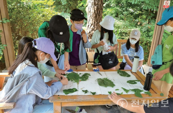 김포시 모담공원 생태숲체험 프로그램 진행(제공: 김포시) ⓒ천지일보 2023.03.02.
