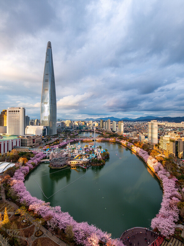 봄을 맞아 벚꽃이 만개한 롯데월드타워 (제공 : 롯데물산)