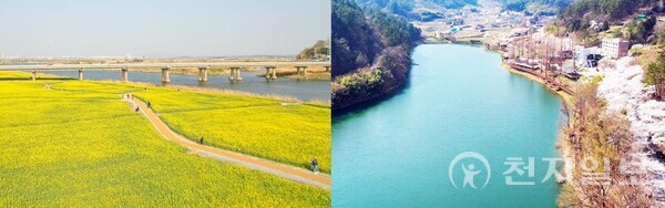 왼쪽부터 나주 영산강 유채꽃밭과 한수제 벚꽃길. (제공: 나주시) ⓒ천지일보 2023.03.27.