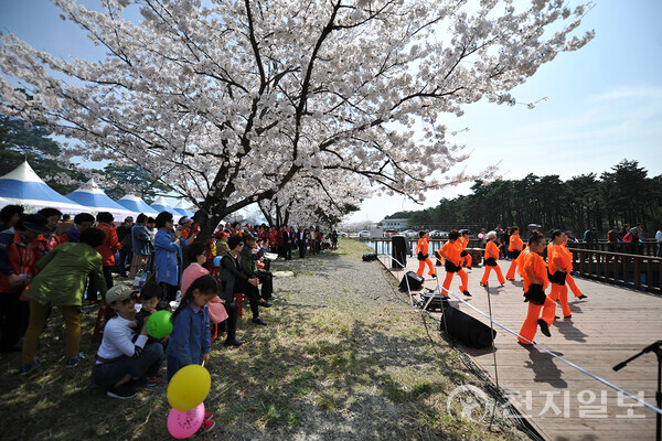 강원도 속초시 상도문 벚꽃축제. (제공: 속초시) ⓒ천지일보 2023.03.30.