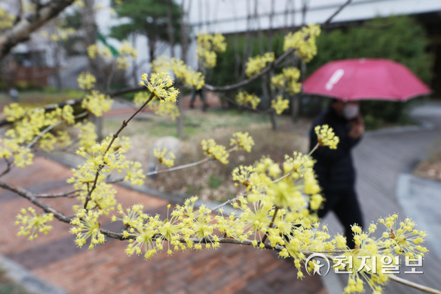 [천지일보=남승우 기자] 봄비가 내린 30일 오후 서울 종로구의 한 거리에서 시민들이 우산을 쓰고 발걸음을 옮기고 있다. ⓒ천지일보 2022.3.30