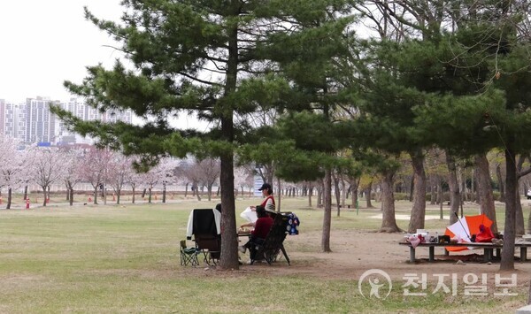 멀리 벚꽃이 만개한 가운데 미사경정공원에 방문한 나들이객들이 피크닉을 즐기며 한가로운 한때를 보내고 있다. (제공: 국민체육진흥공단) ⓒ천지일보 2023.04.06.