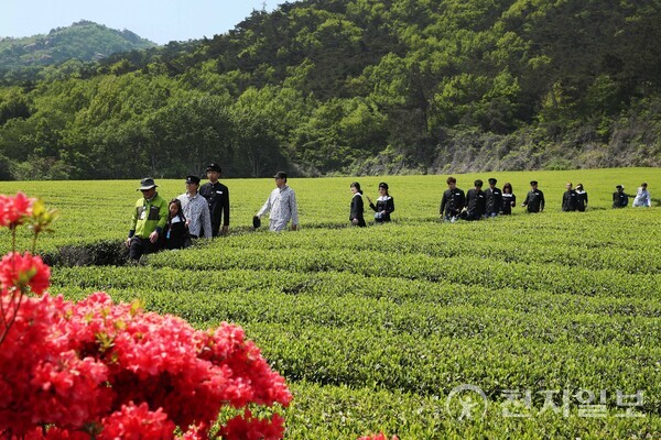 전남 강진군이 ‘월출산 봄 소풍 가는 날 축제’를 오는 21일부터 23일까지 월출산 자락 아래 강진다원 녹차밭 일원에서 개최한다. (제공: 강진군) ⓒ천지일보 2023.04.18.