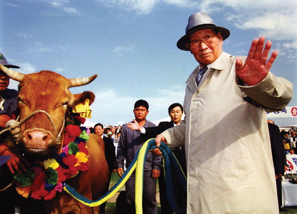정주영 현대그룹 명예회장은 서산목장에서 키우던 소 1001마리를 몰고 1998년 6월과 10월 북송했다. (제공: 현대그룹)
