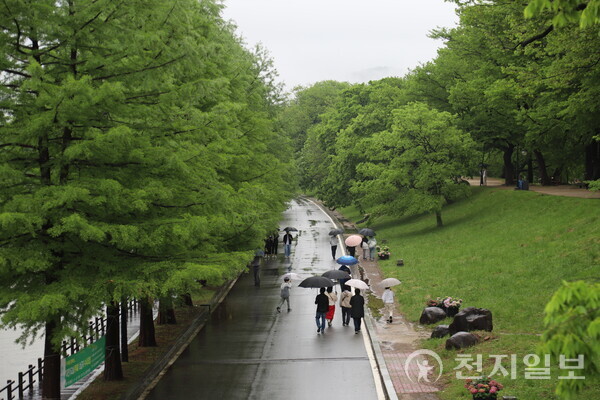 5일 오후 강풍을 동반한 비가 내린 가운데 대나무축제장을 찾은 관광객들이 관방천 숲길을 걷고 있다. ⓒ천지일보 2023.05.06.