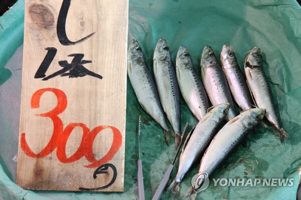 일본 후쿠시마현 이와키시 오나하마항 수산물 시장에서 24일 판매 중인 생선. 이 항구는 일본 정부가 올여름 오염수 방류를 시작할 후쿠시마 제1원자력발전소에서 55㎞ 정도 떨어져 있다. (출처: 연합뉴스)