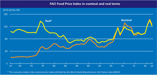 세계 식량 가격 그래프. (FAO 홈페이지 캡처) ⓒ천지일보 2023.06.03.