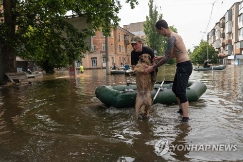 헤르손주 카호우카 댐이 파괴된지 사흘째인 8일(현지시간) 물에 잠긴 현지 마을에서 주민들이 개를 구조하고 있다. (AFP/연합뉴스)