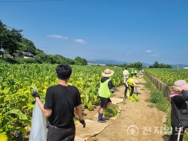 한국농어촌공사가 지난 5일부터 6일 동안 동신대학교 학생들과 농촌 봉사활동을 진행하고 있다. (제공: 한국농어촌공사) ⓒ천지일보 2023.07.06.
