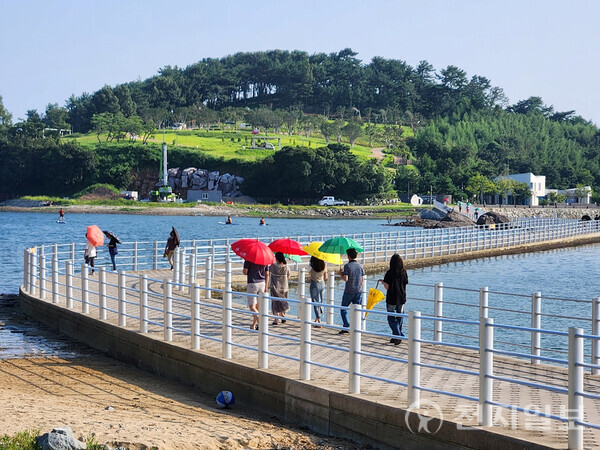 전남 여수시가 예술의 섬 장도를 찾은 관람객 편의를 위해 우산을 제작해 무료로 대여하고 있다. 사진은 대여한 우산을 사용해 장도로 건너가는 관람객 모습. (제공: 여수시) ⓒ천지일보 2023.08.14.