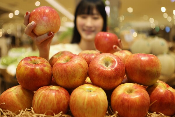 롯데백화점 본점 지하 1층에서 만날 수 있는 블레스 사과. (제공: 롯데백화점)
