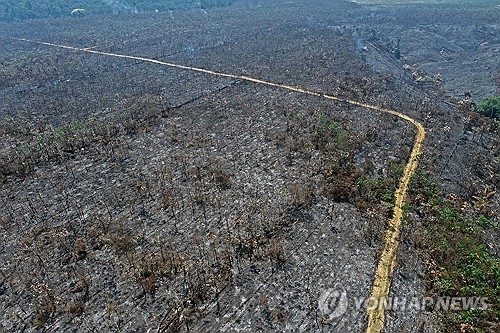 지난 6일(현지시간) 브라질 아마존의 일부인 리오 프레토-자쿤다 국립자연보호구역이 큰 불로 인해 초토화돼 있다. 이로 인해 950㎢ 규모의 산림이 소실됐다. (AFP/연합뉴스) 2023.09.25.