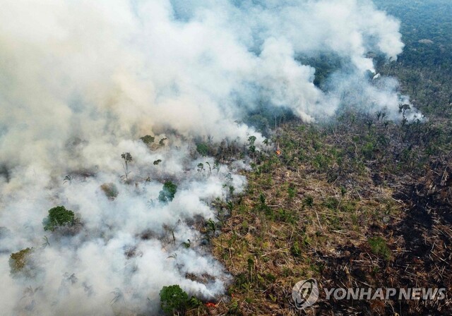 브라질 아마존 화재 현장.&nbsp;(출처: 연합뉴스)