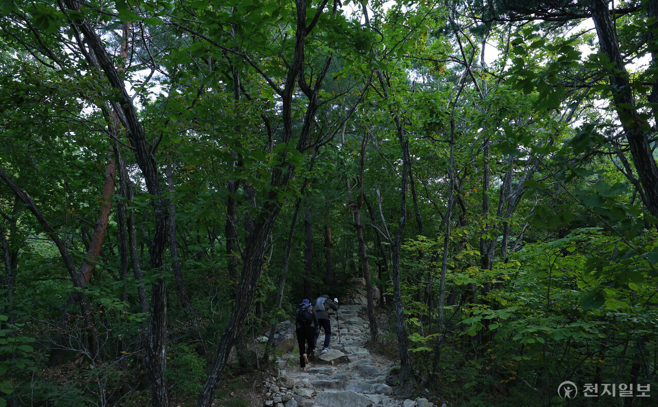 [포토] 가을 산행… 단풍 절정 시기는?