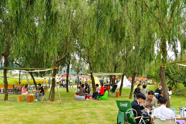 장성 황룡강 가을꽃축제장을 찾은 관광객들이 캠프닉을 즐기고 있다. (제공: 장성군) ⓒ천지일보 2023.10.10.