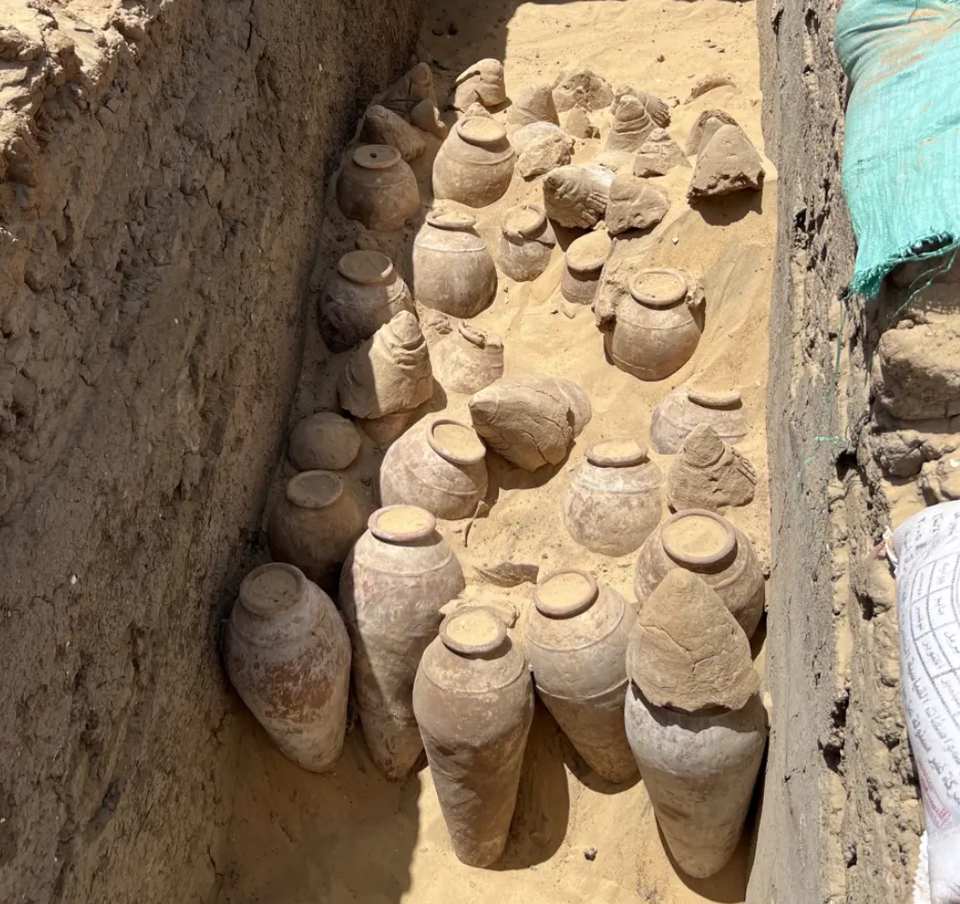 이집트 최초의 여성 파라오로 추정되는 메르네이트 여왕의 무덤에서 발견된 포도주 항아리들. (빈 대학교) 2023.10.17.
