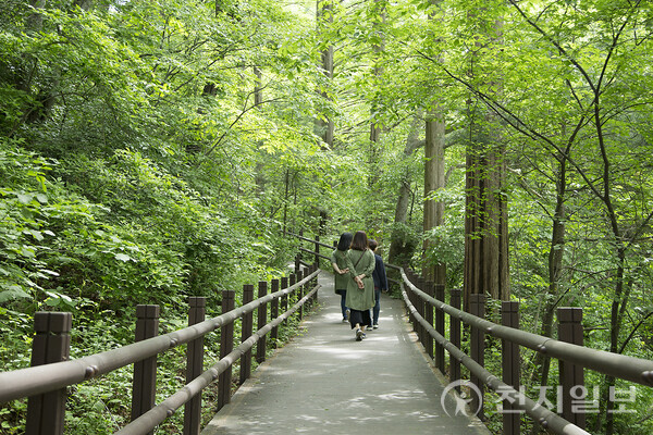 의왕시 청계산 맑은 숲 공원 (제공: 의왕시) ⓒ천지일보 2023.10.19.