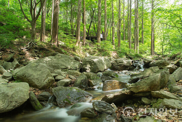 의왕시 청계산 맑은 숲 공원 (제공: 의왕시) ⓒ천지일보 2023.10.19.