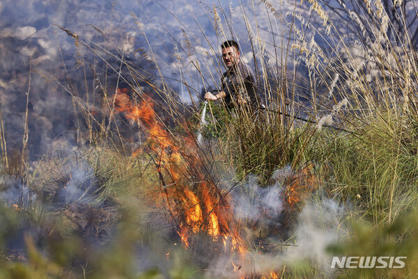 [시칠리아=AP/뉴시스] 사진은 지난달 26일(현지시간) 이탈리아 남부 시칠리아 팔레르모 인근 카파치에서 한 남성이 불길을 진압하는 장면. 2023. 11.02.