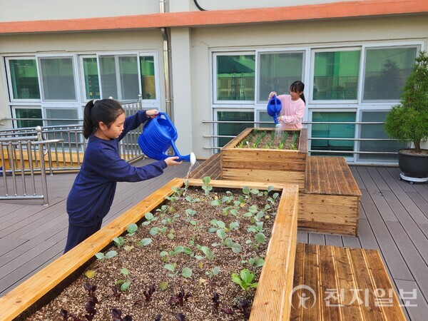옥상정원에 마련된 작은 텃밭에서 학생들이 식물에 물을 주고 있다. (제공: 전남교육청) ⓒ천지일보 2023.11.07.
