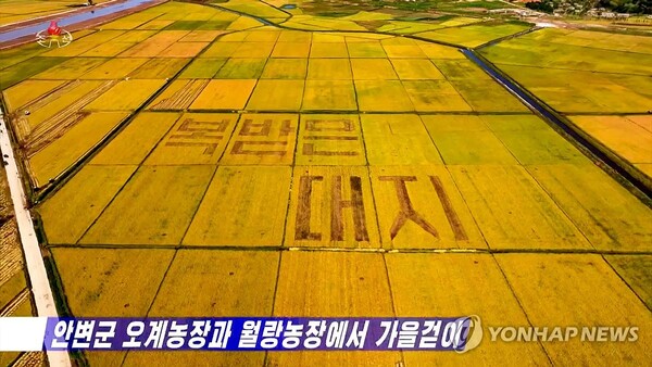 (서울=연합뉴스) 북한 조선중앙TV는 지난 24일, 올해 태풍 6호로 큰 피해를 입었던 북한 강원도 안변군 오계농장과 월랑농장에서 벼수확이 한창이라고 보도했다. 농장의 한 일꾼은 침수됐던 농장에서 예년보다 더 많은 수확량이 예상된다고 전했다. 사진은 월랑농장에 새겨진 '복받은 대지' 글귀 [조선중앙TV 화면] 2023.9.25